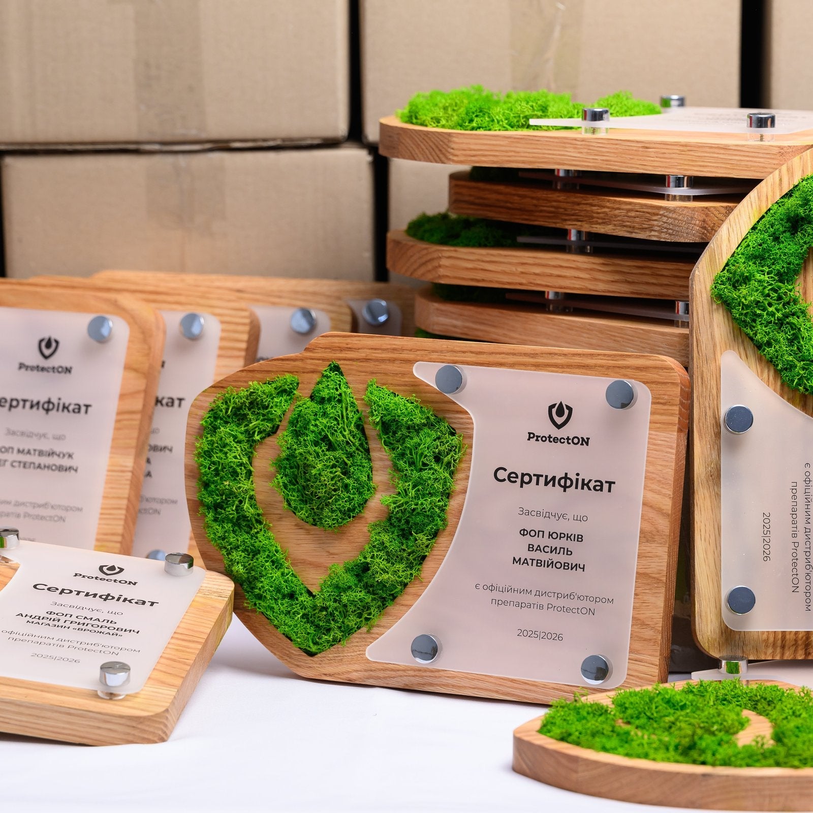 Distributor Certificates for ProtectON — Natural Wood Plaques with Preserved-Moss Logo & Frosted Acrylic