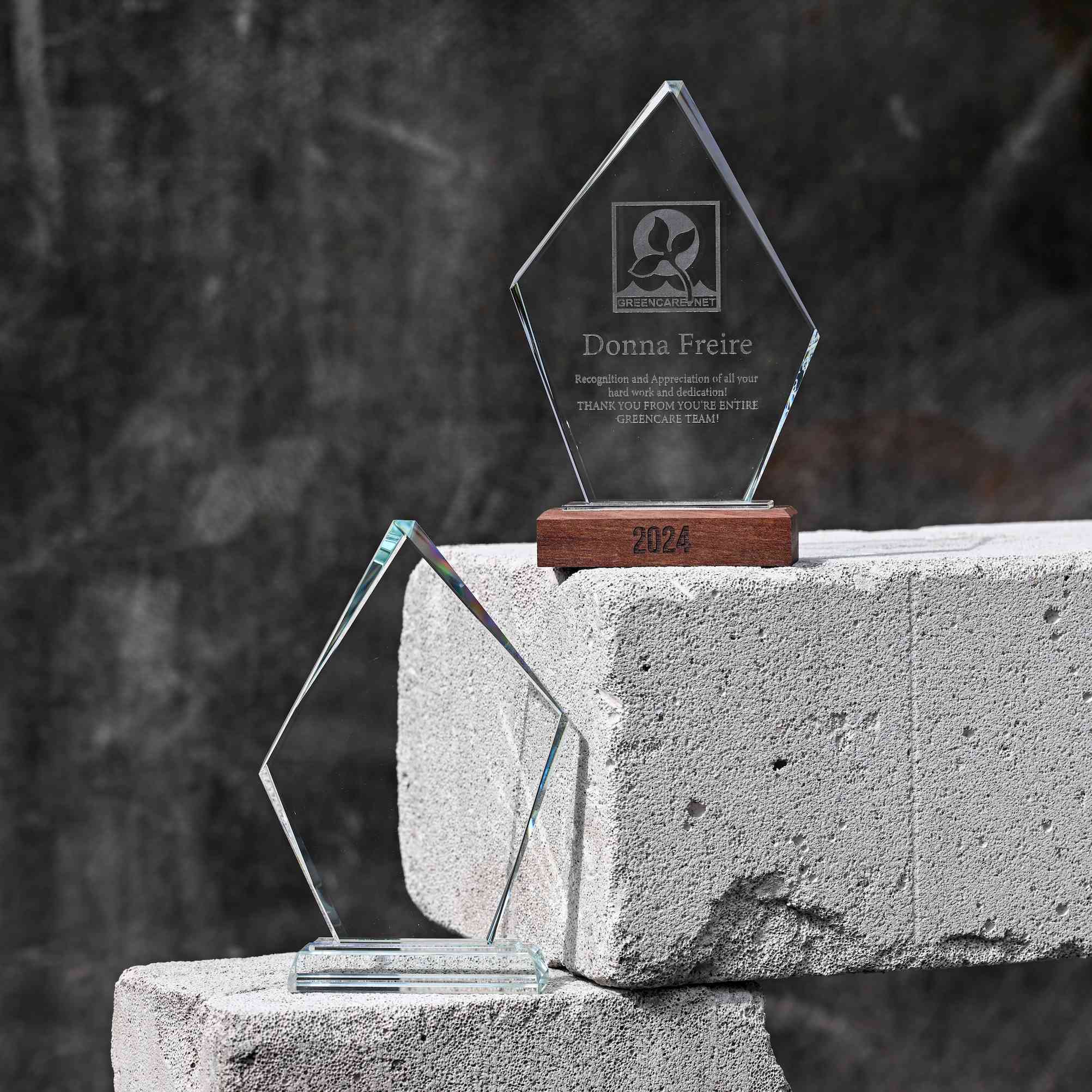 Glass award with wooden base v3