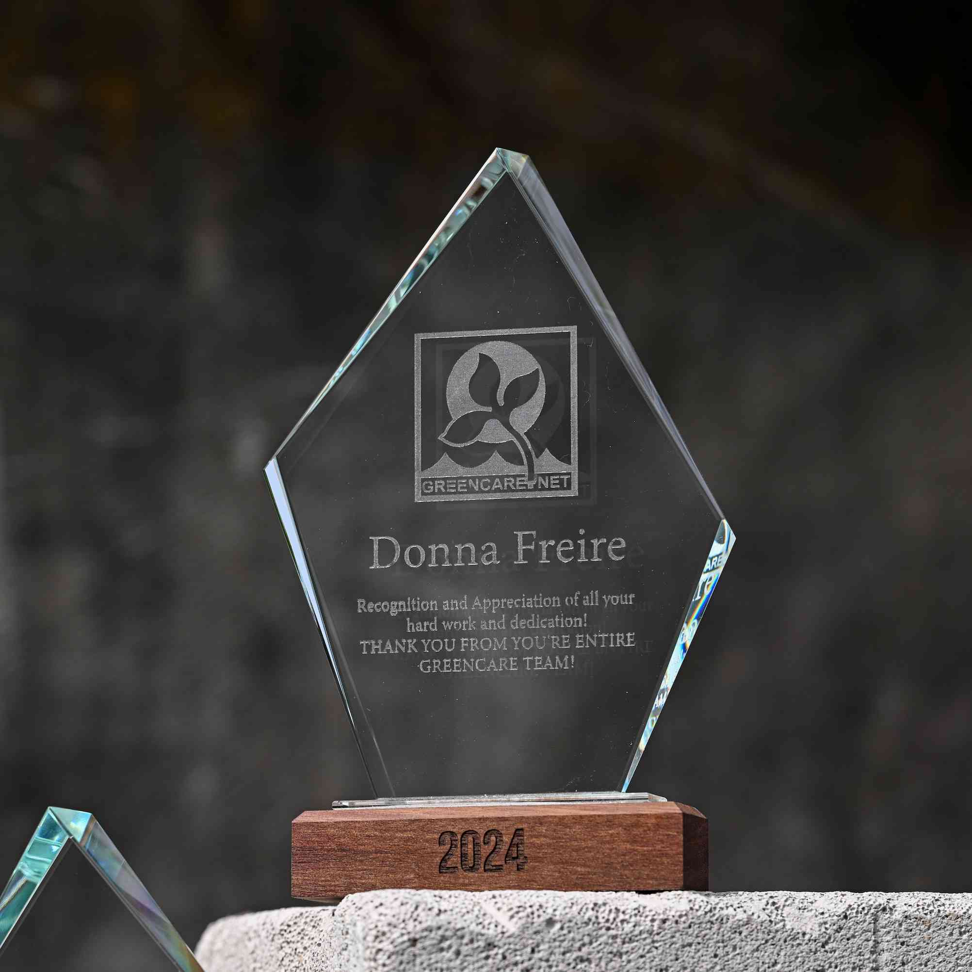 Glass award with wooden base v3