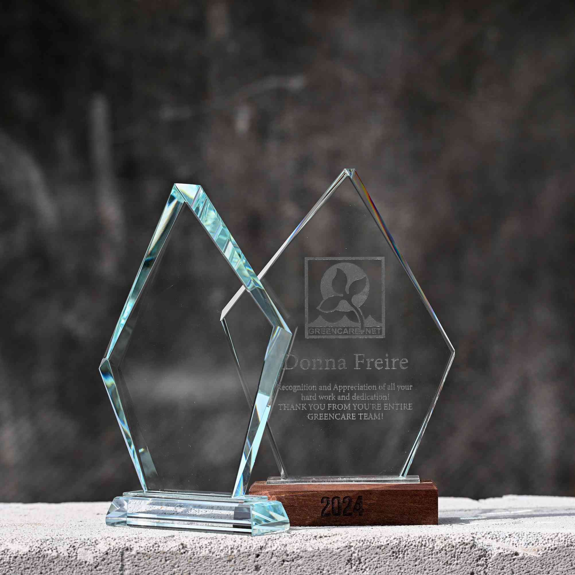 Glass award with wooden base v3