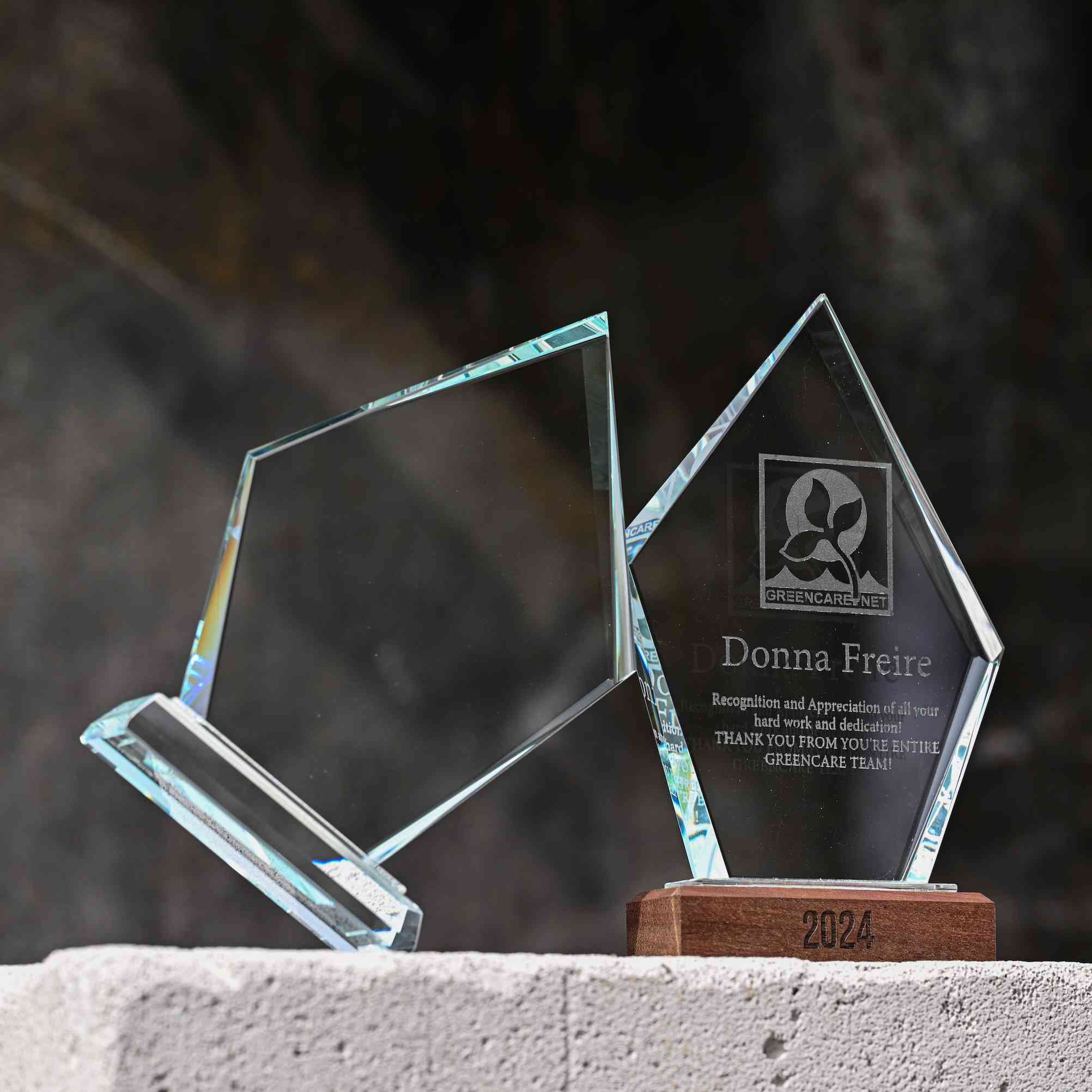 Glass award with wooden base v3