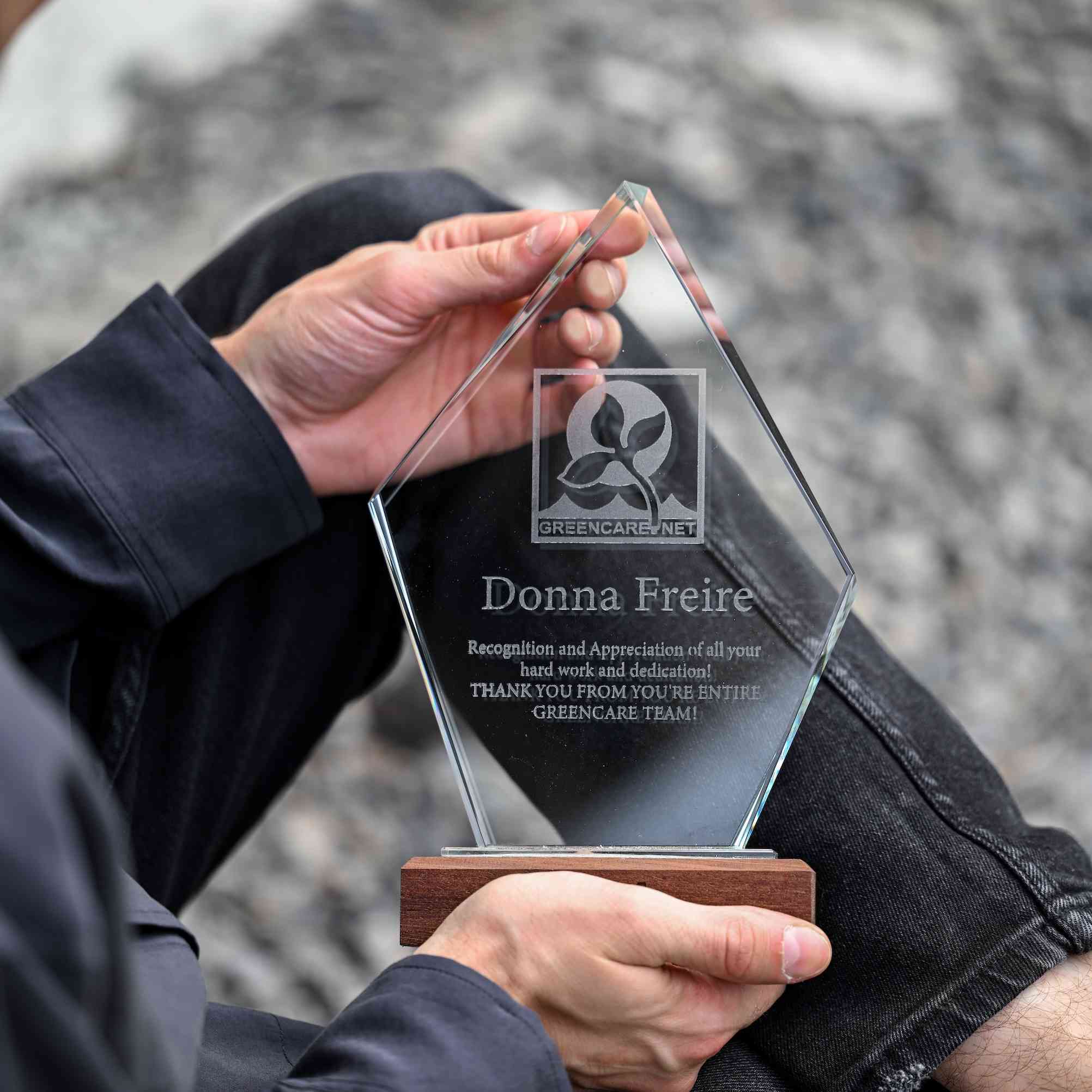 Glass award with wooden base v3