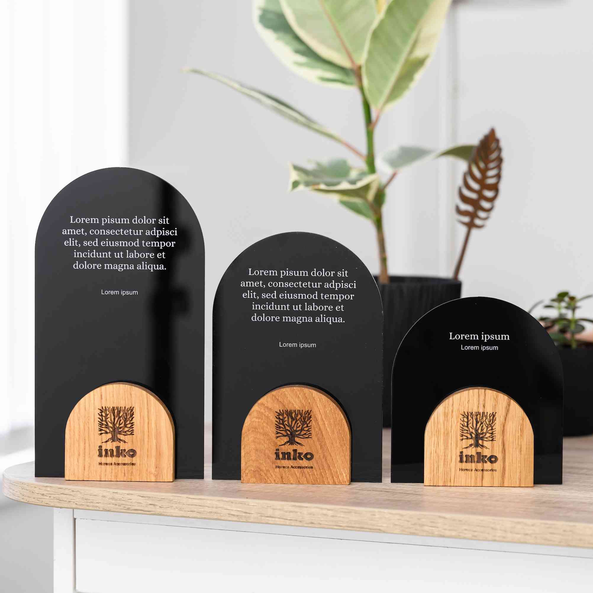 Wooden award with acrylic v33
