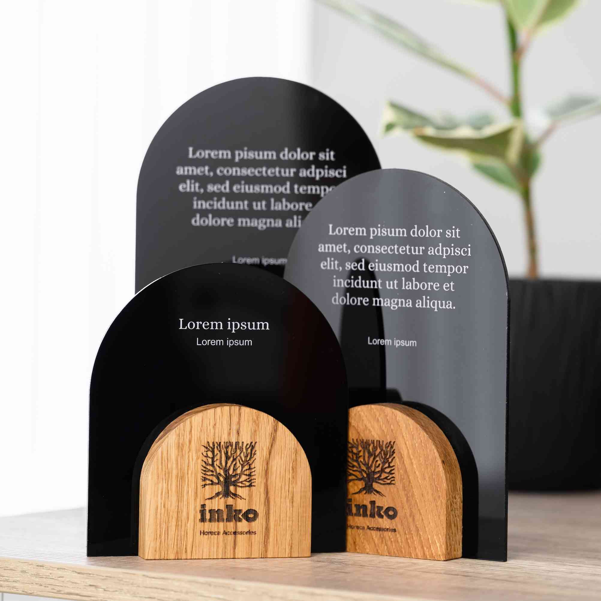 Wooden award with acrylic v33