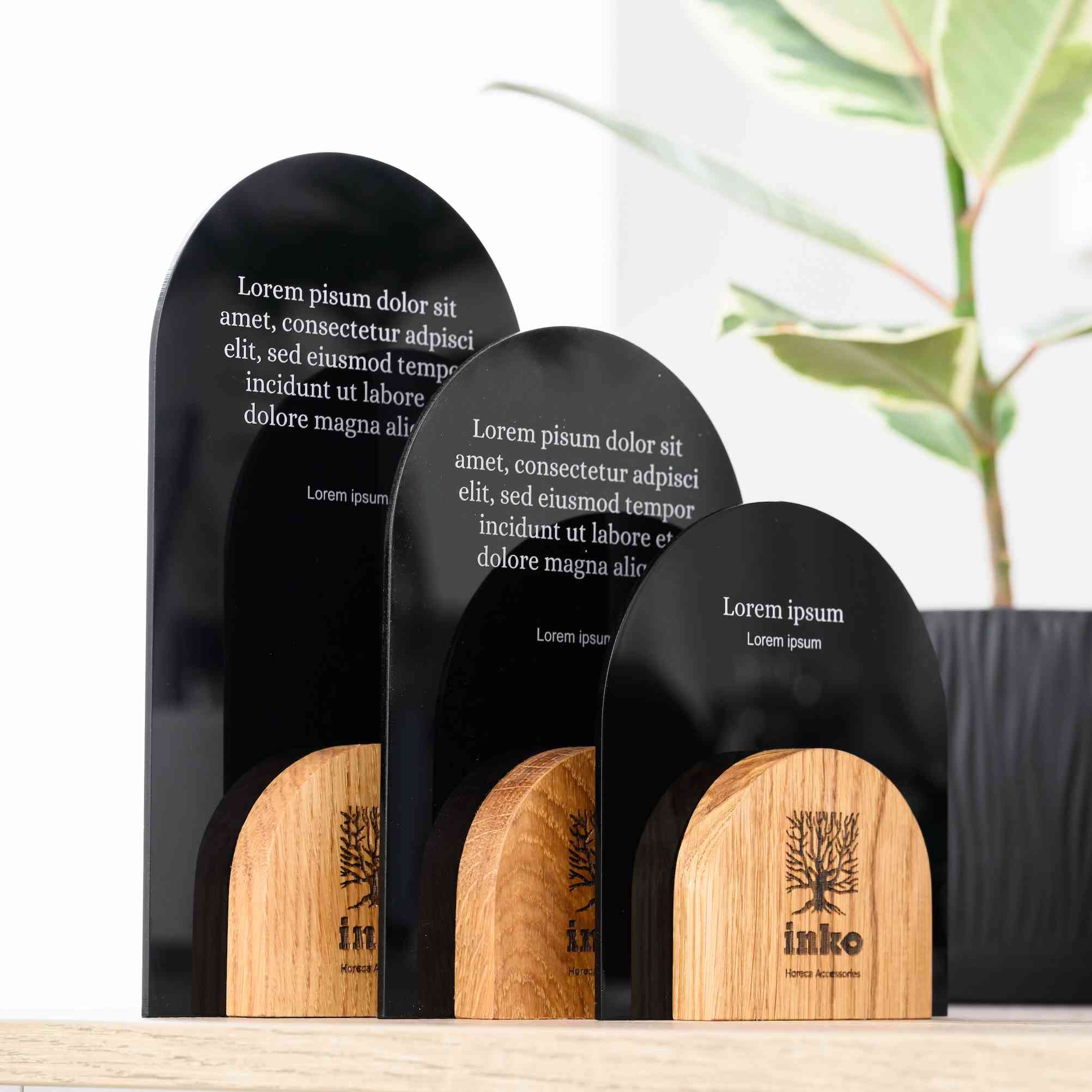 Wooden award with acrylic v33