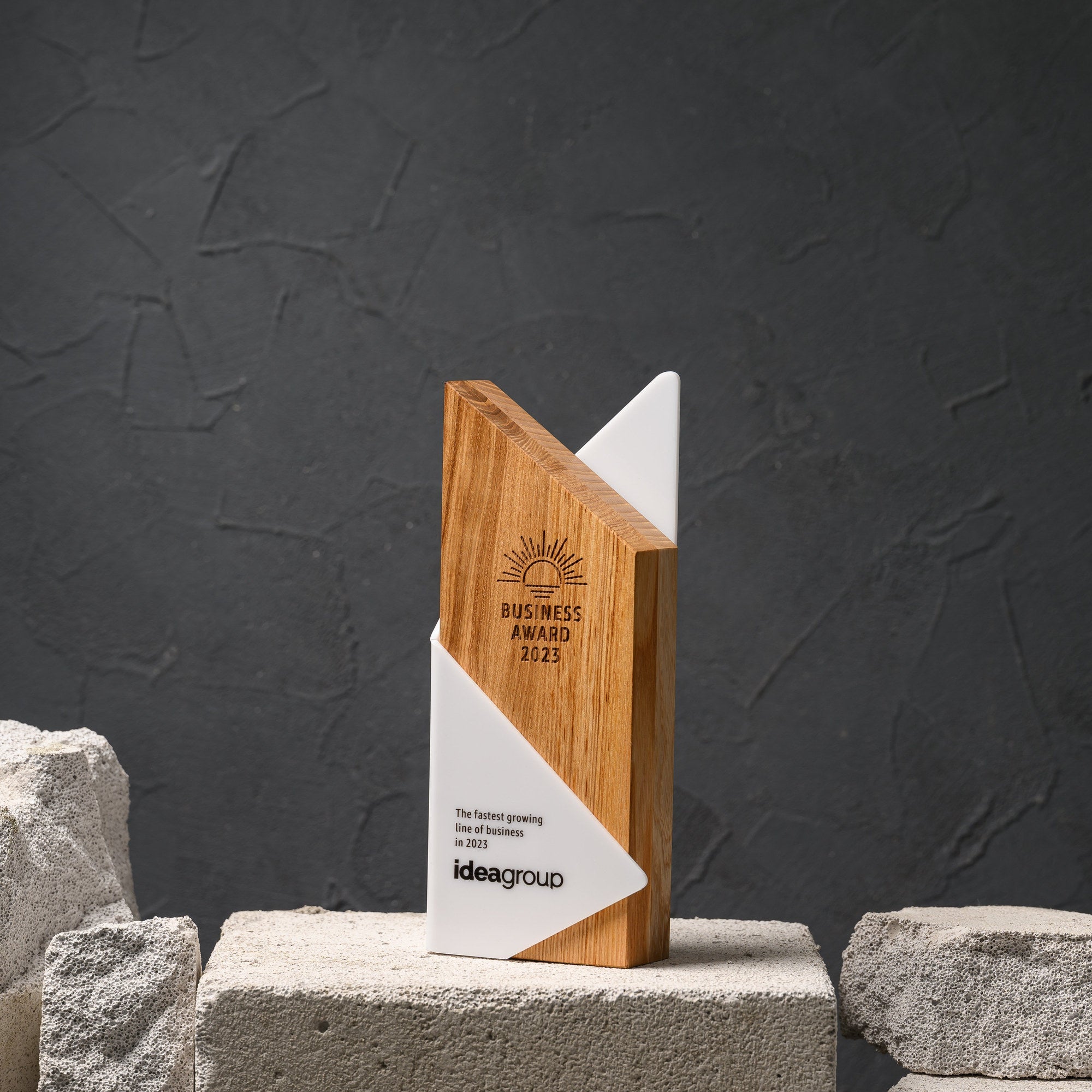 Oak business award with a curved white acrylic panel, standing on a stone plinth against a dark wall