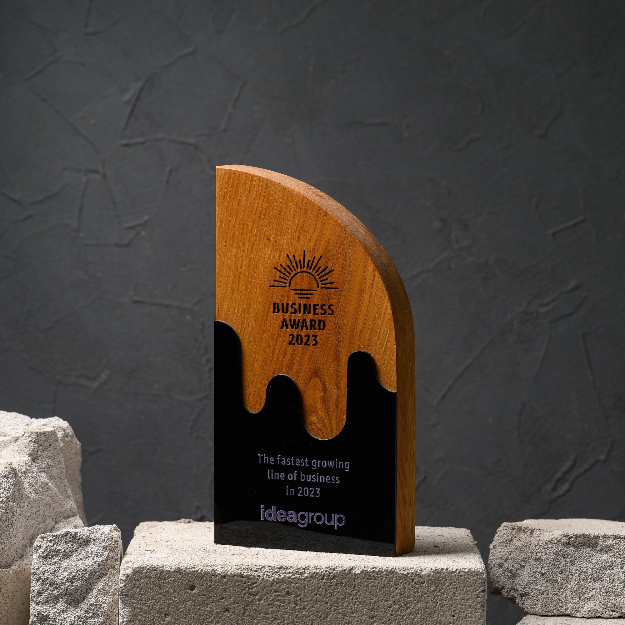 Oak and black acrylic award with a wave-cut join, standing on a stone plinth against a dark wall