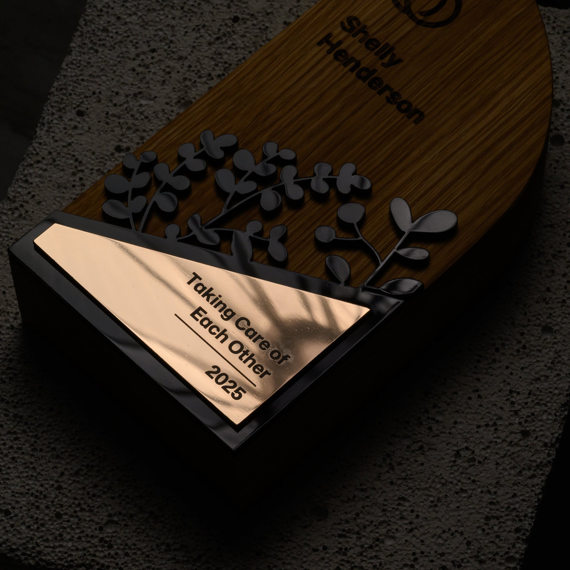 Low-key shot of the award on stone, the gold mirror plate catching the only light in frame