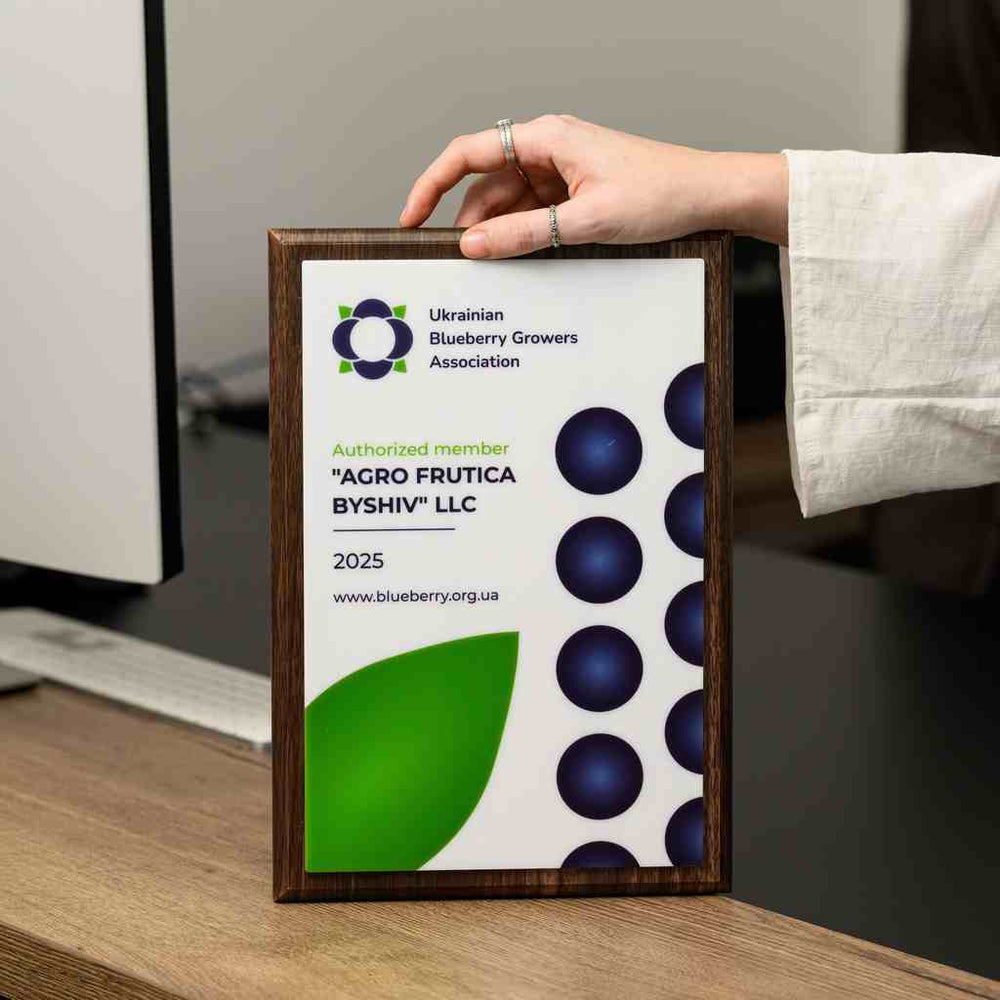 Ready to Design Your Custom Plaque?