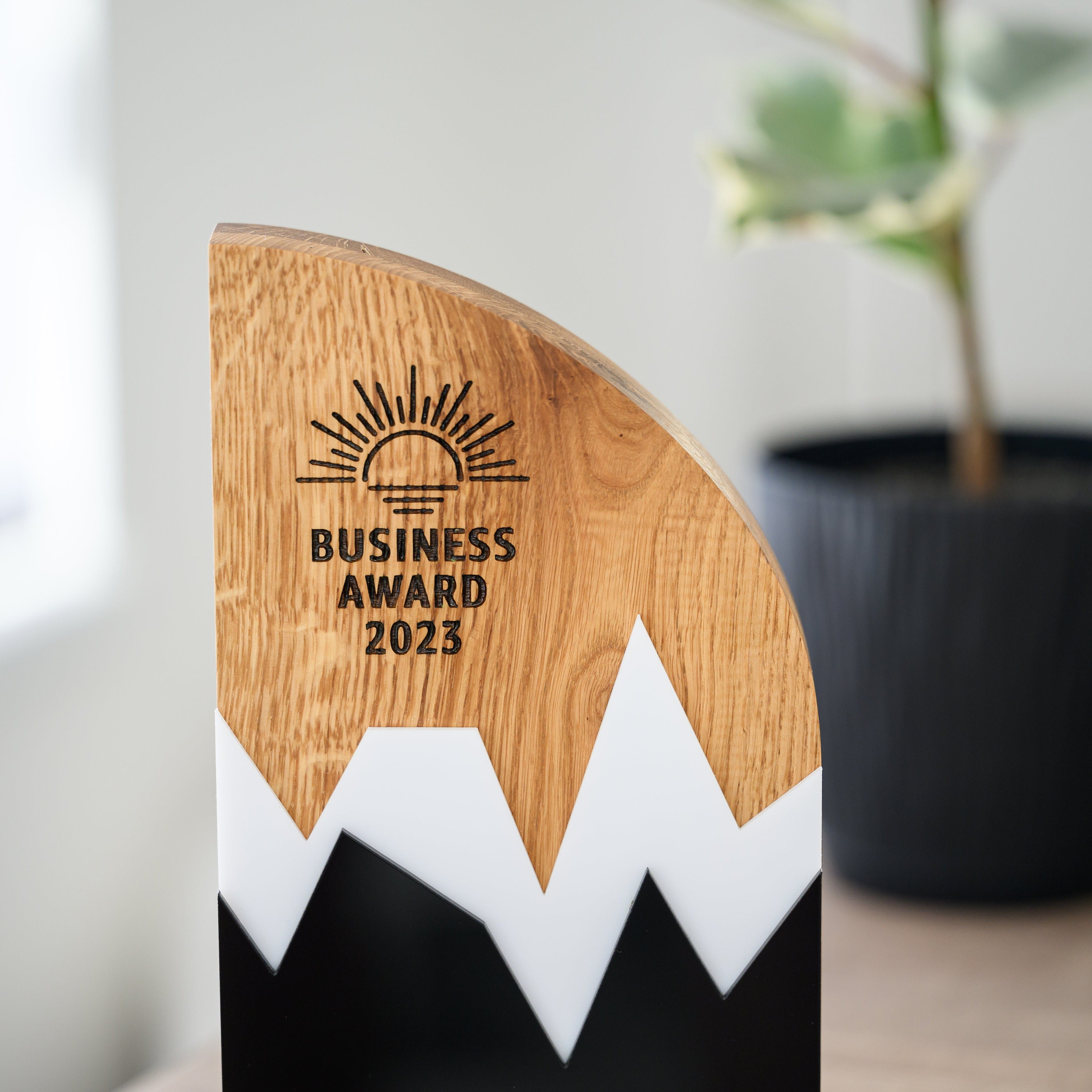 Wooden award with acrylic “Mountains”