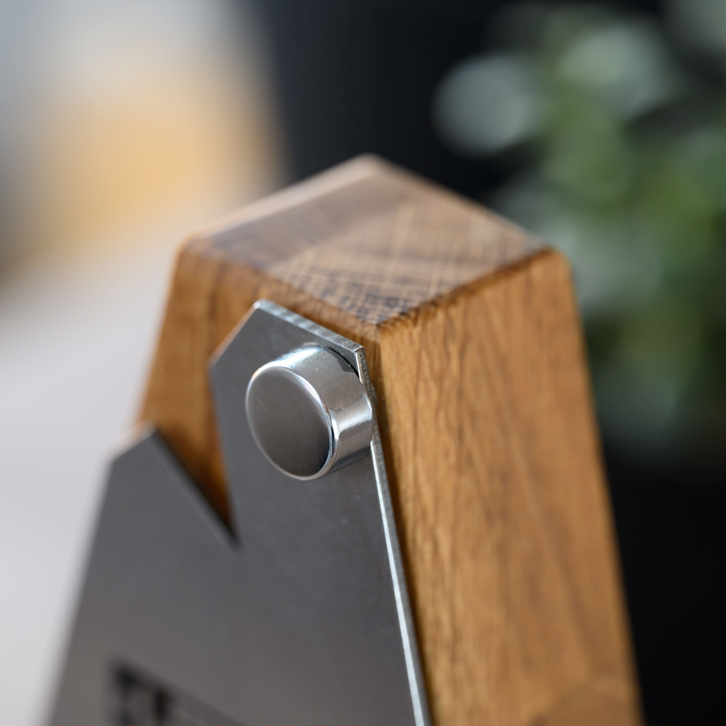 Wooden award with metal v4