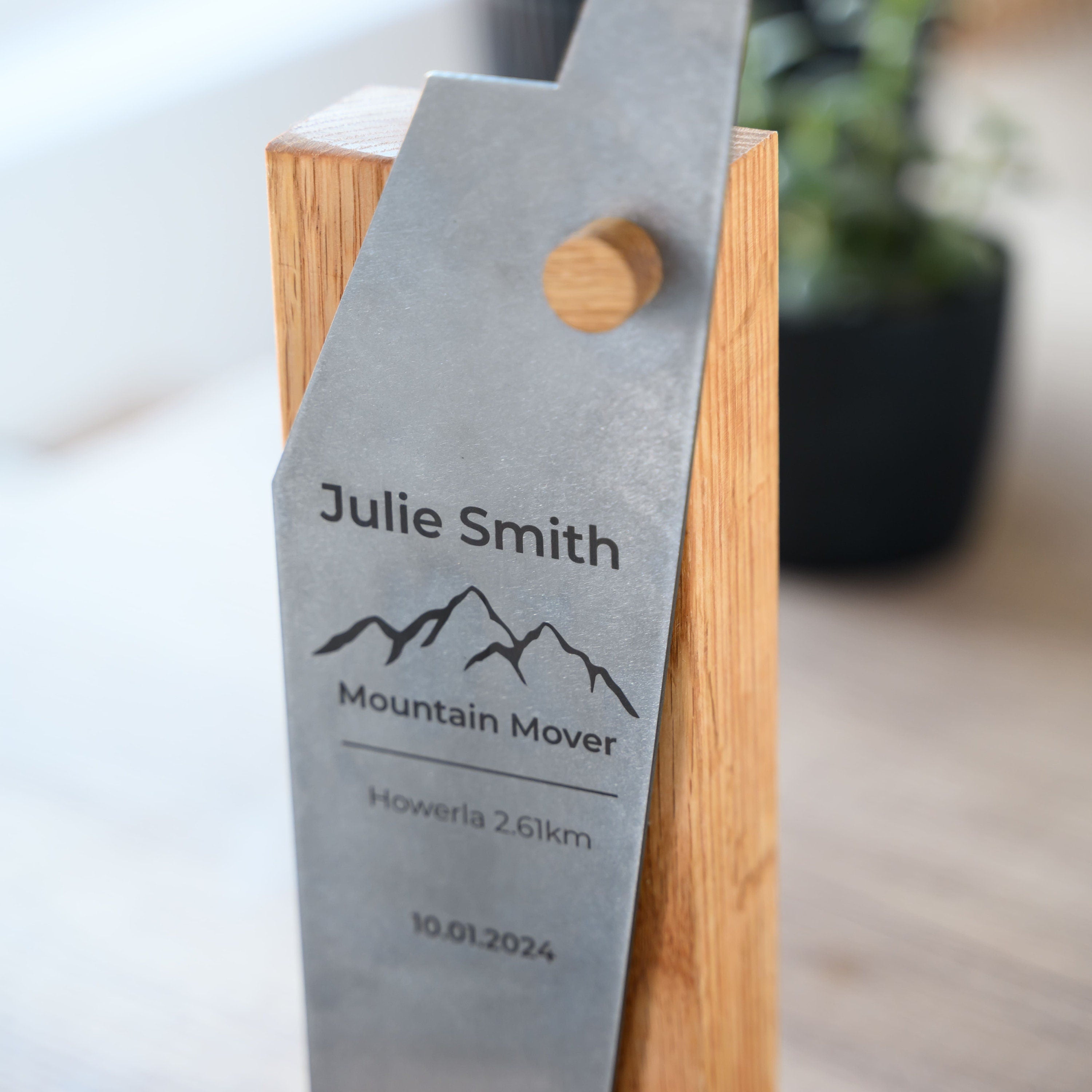 Wooden award with metal v1