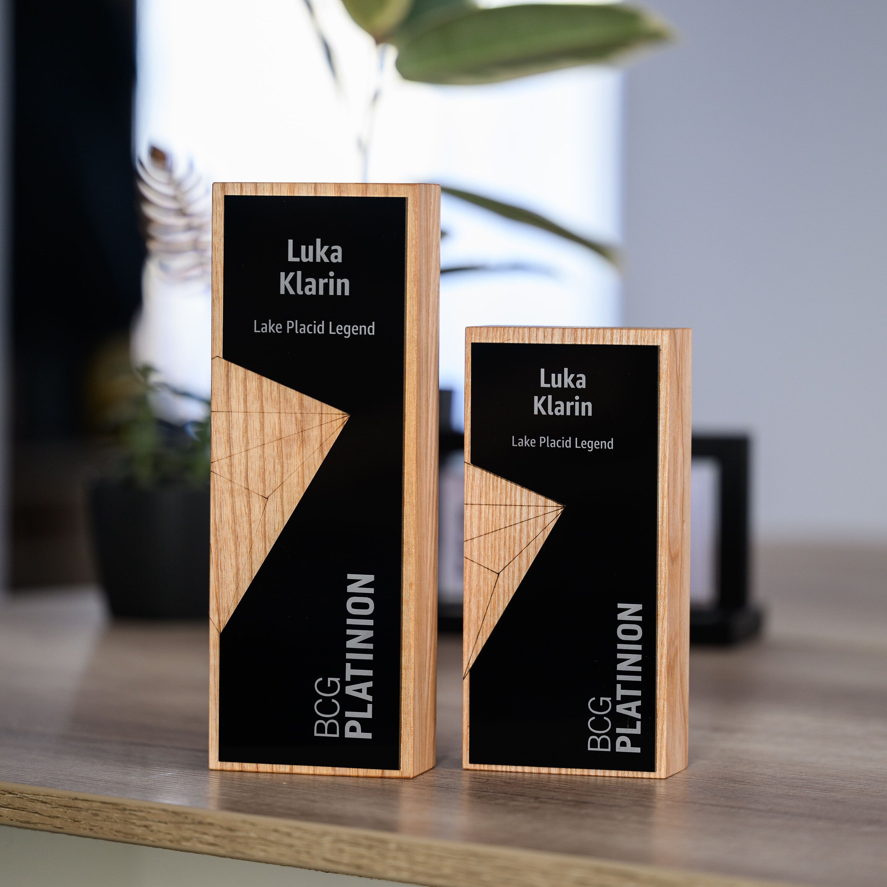 Wooden award with acrylic v16