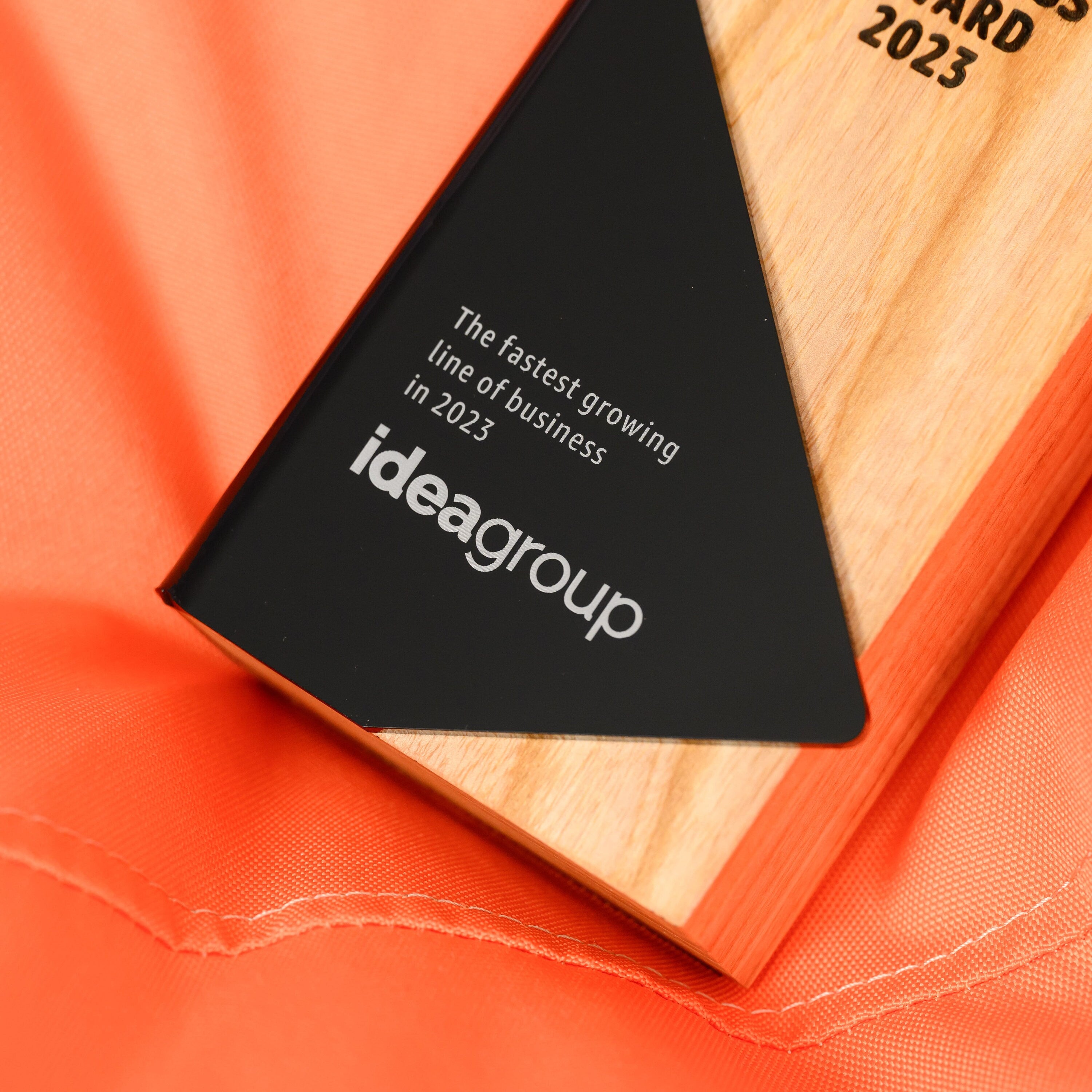 Award with bent acrylic v1
