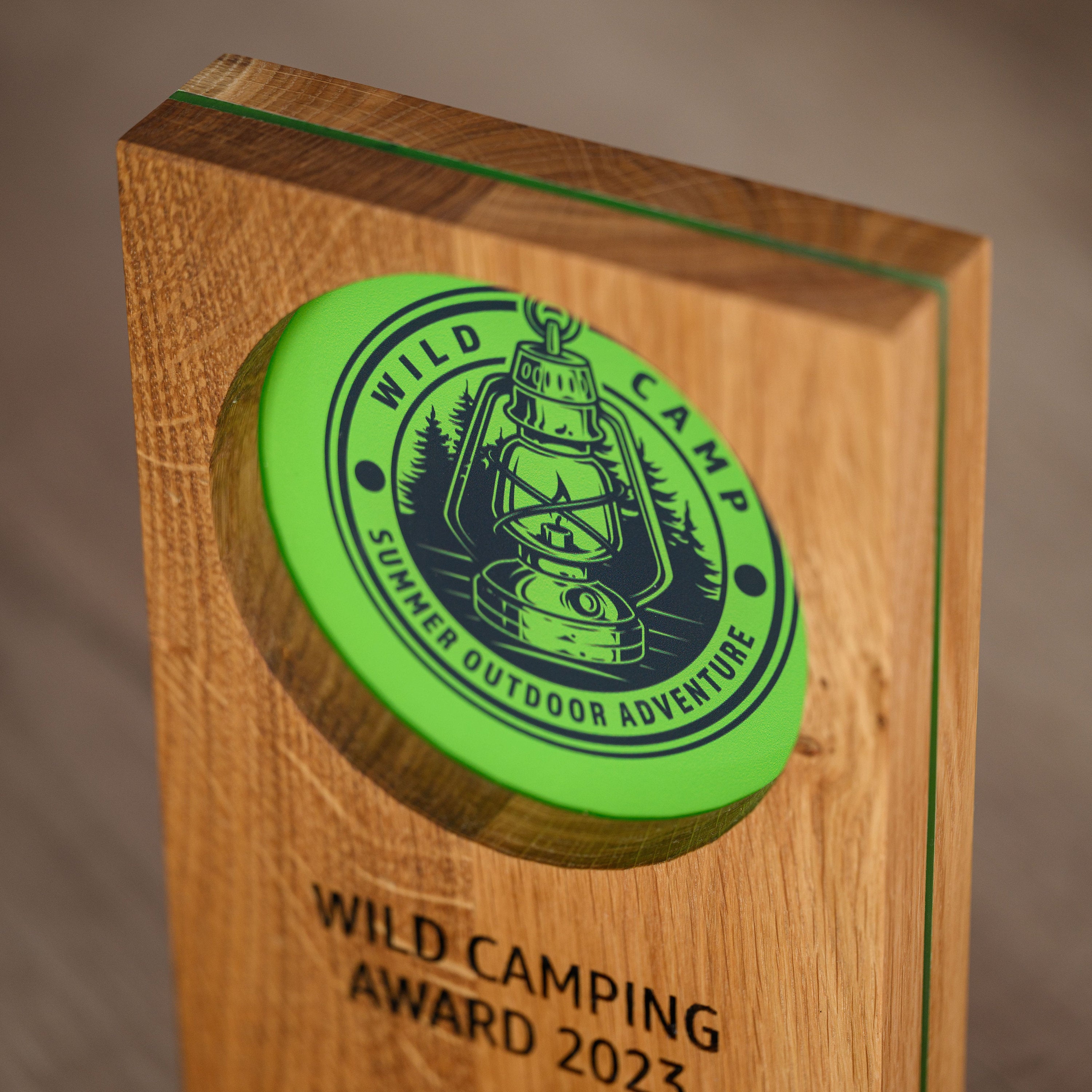 Wooden award with acrylic v14