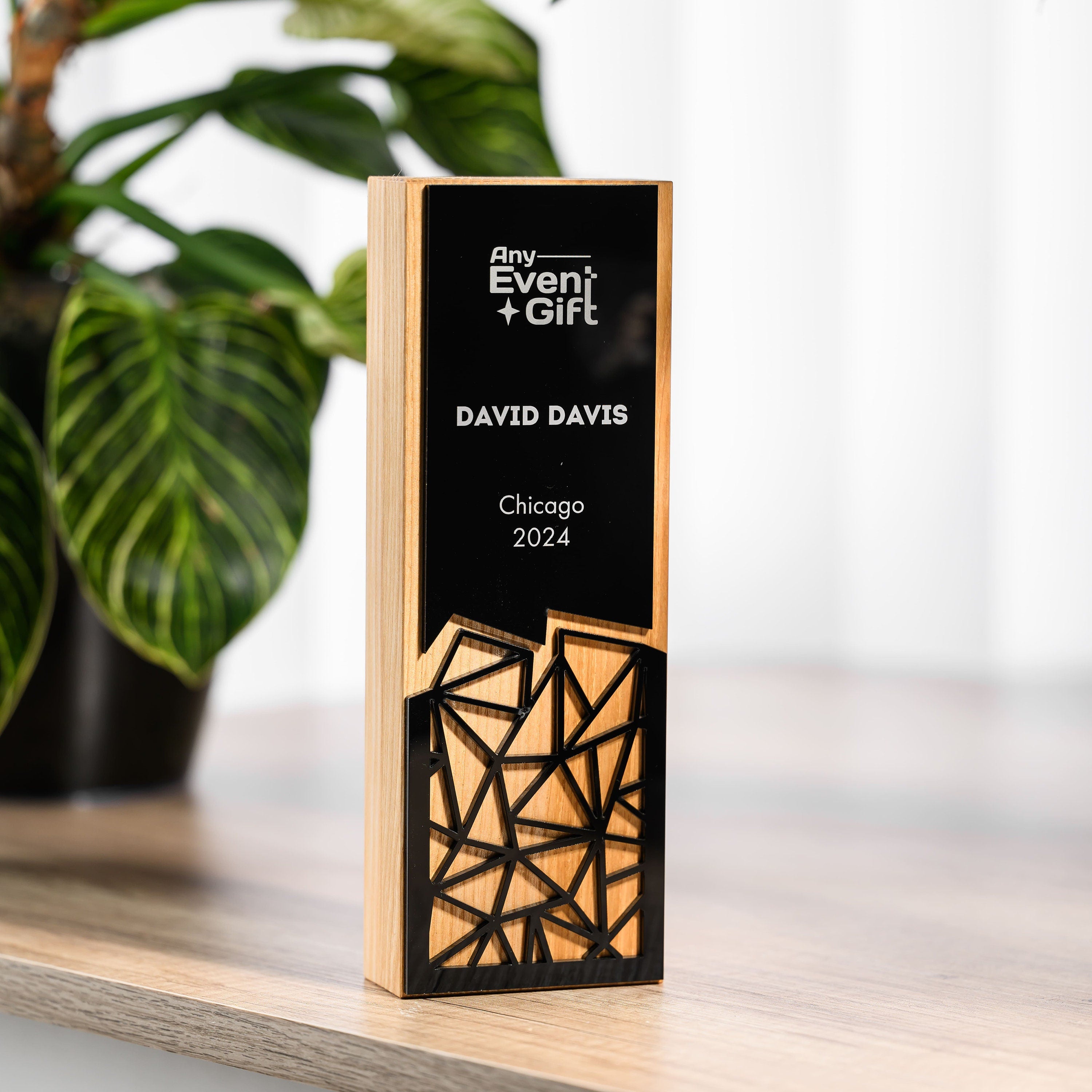 Wooden award with acrylic v18