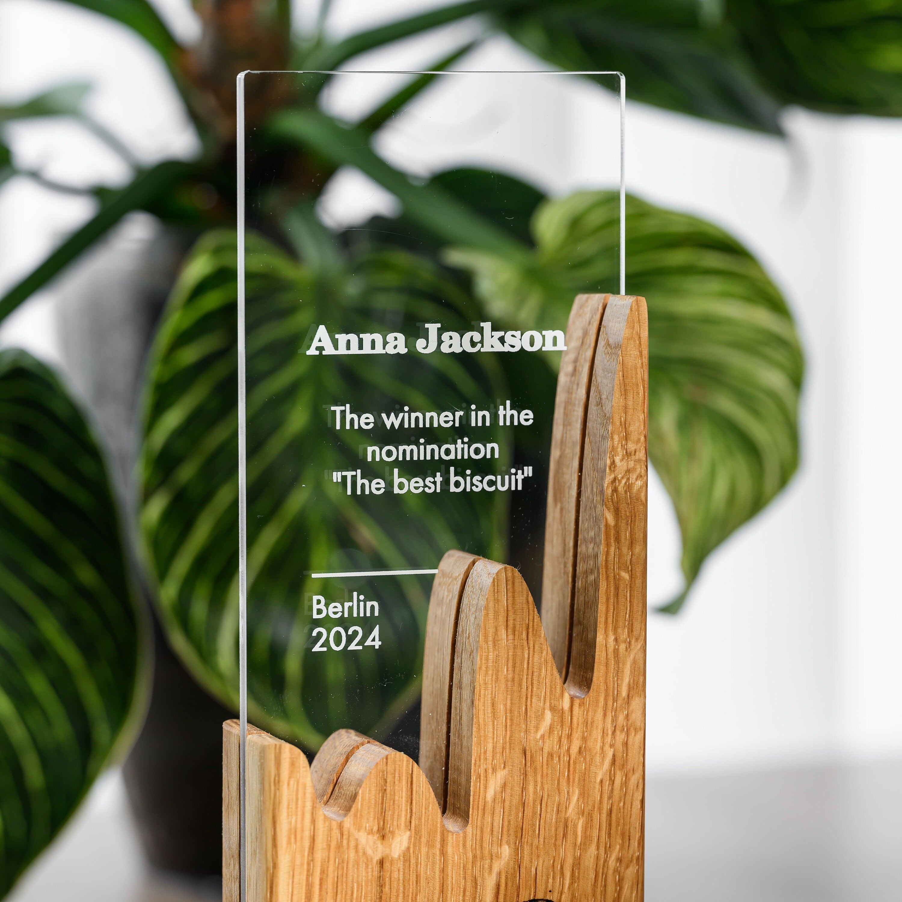 Wooden award with acrylic v17