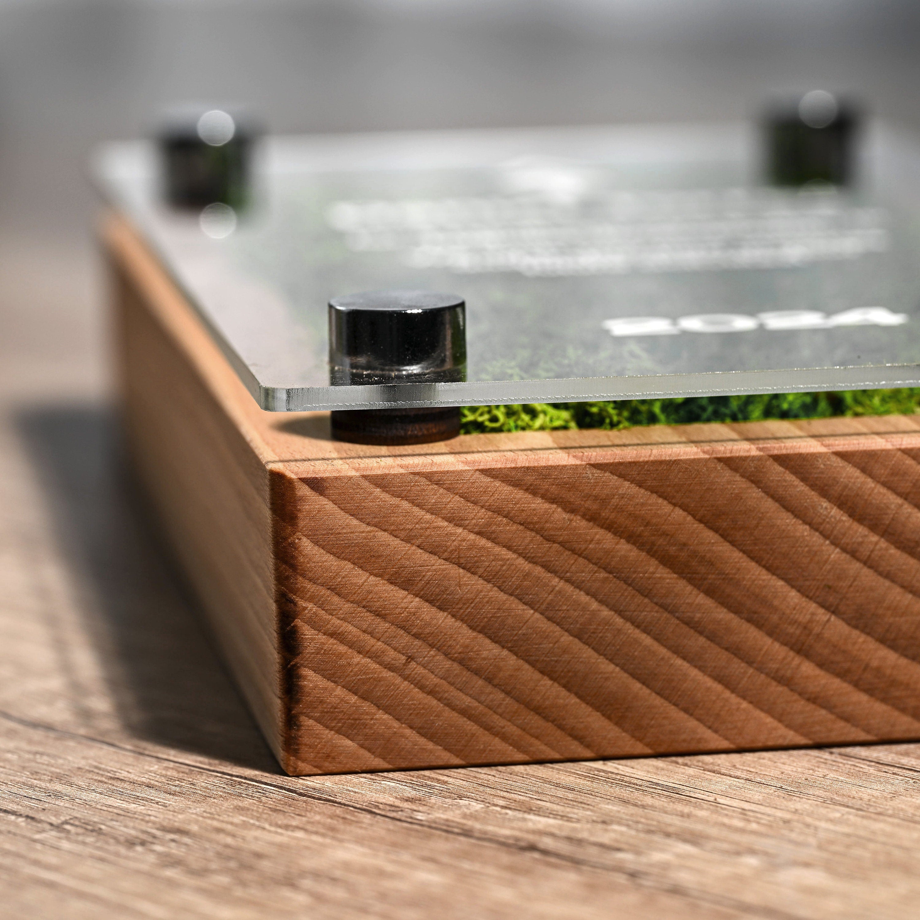 Wooden award with acrylic "Moss" v3