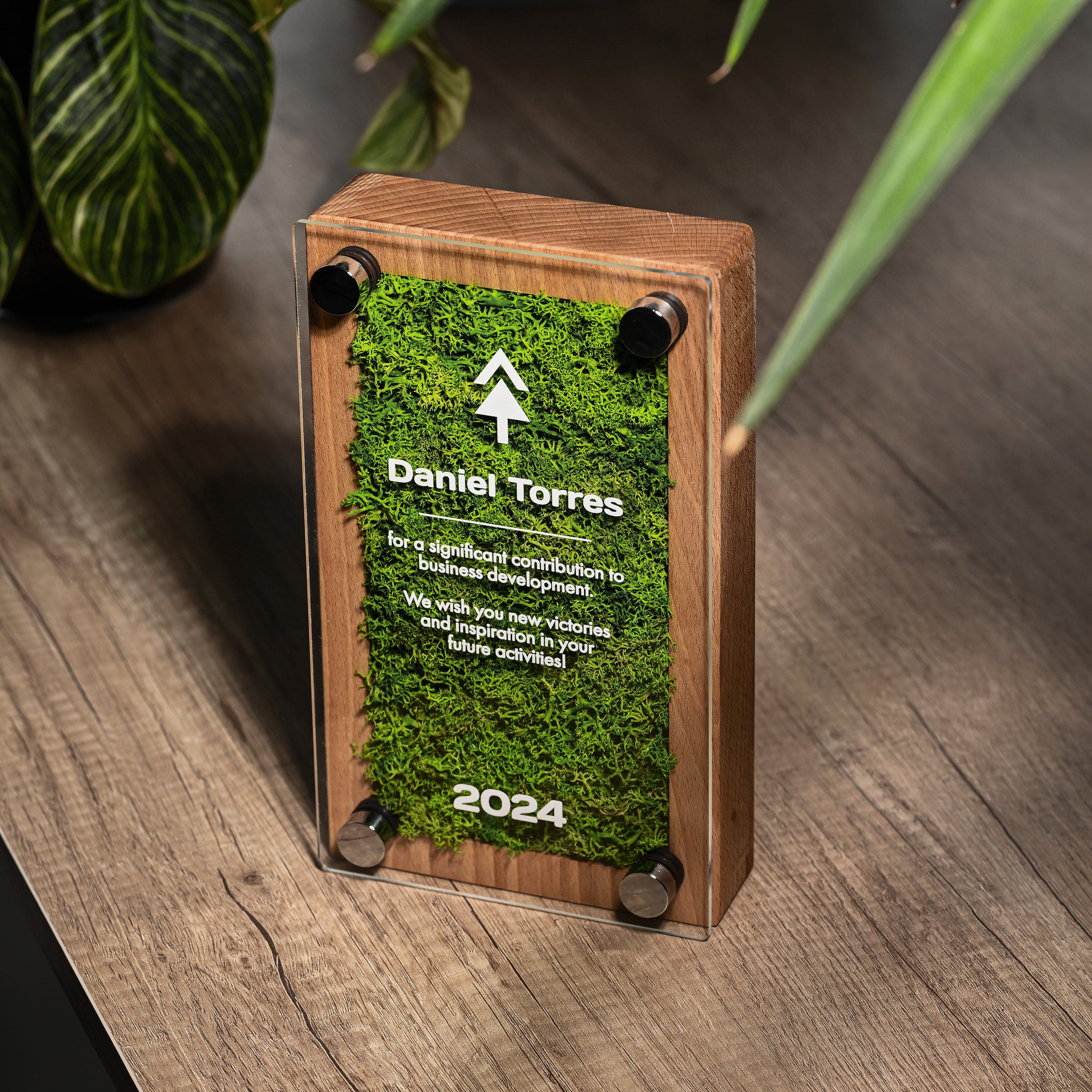 Wooden award with acrylic "Moss" v3
