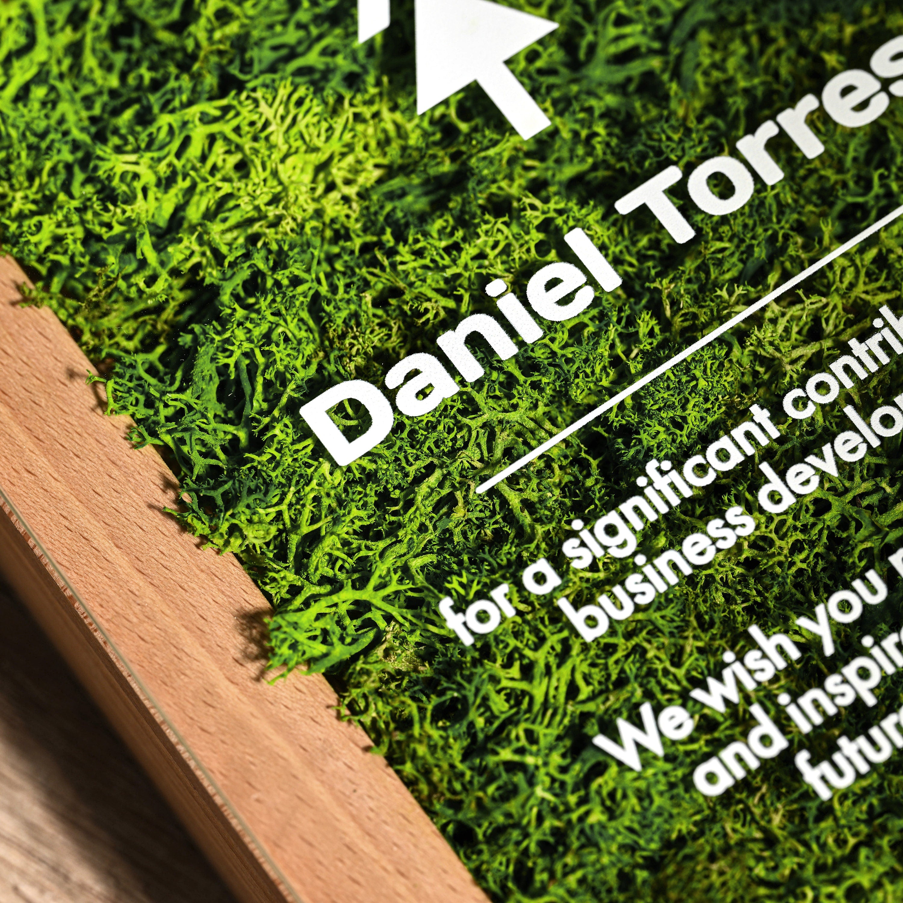 Wooden award with acrylic "Moss" v3