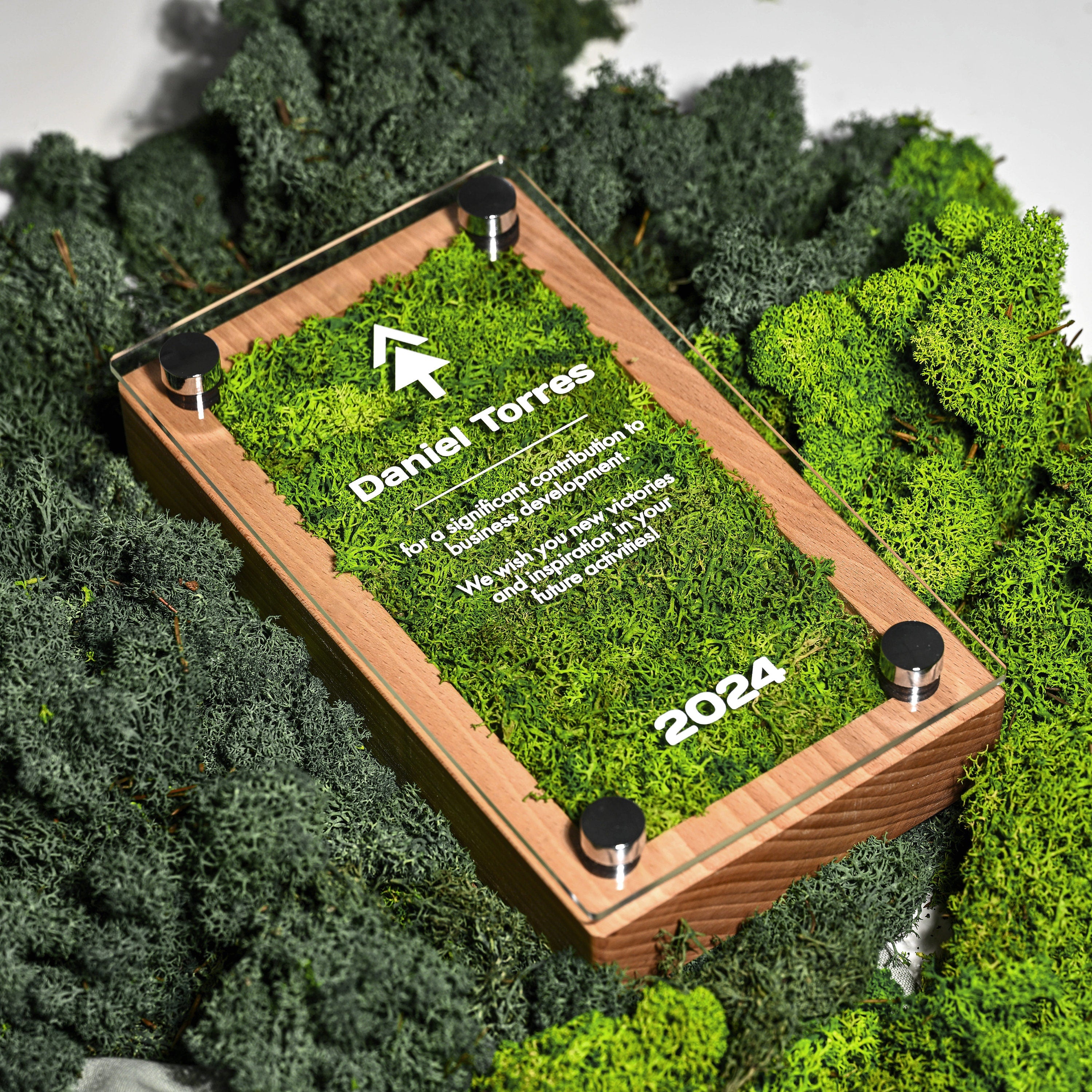 Wooden award with acrylic "Moss" v3