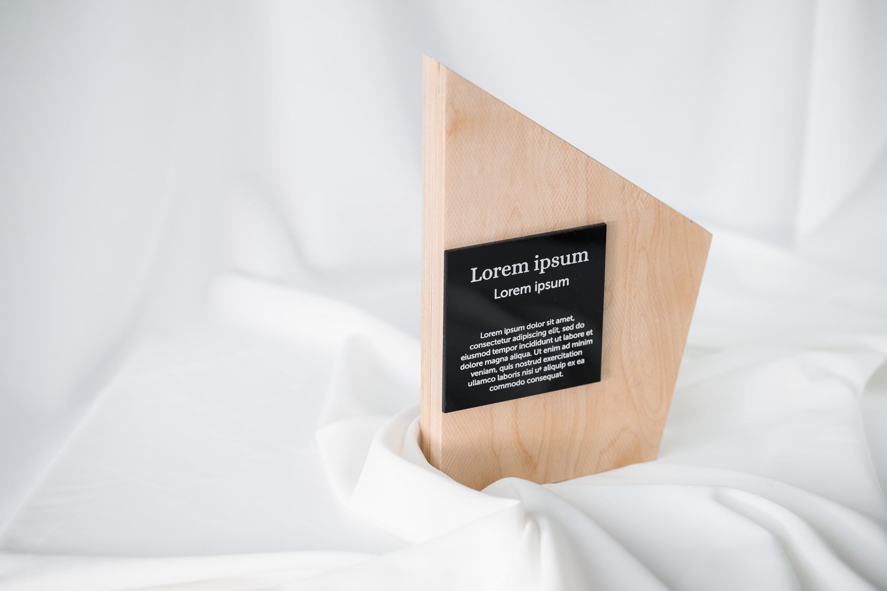 Wooden award with acrylic v2