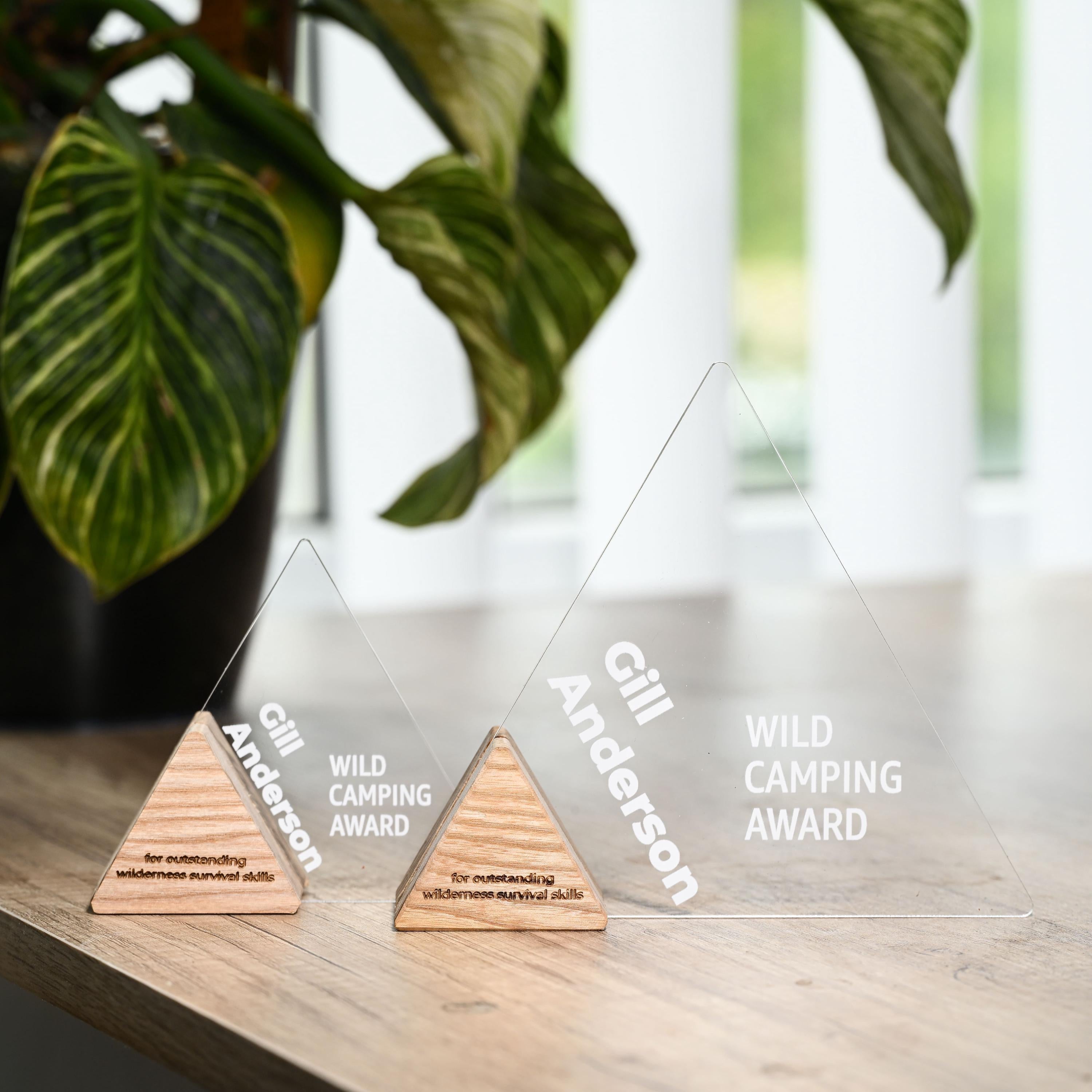 Acrylic Trophy v3