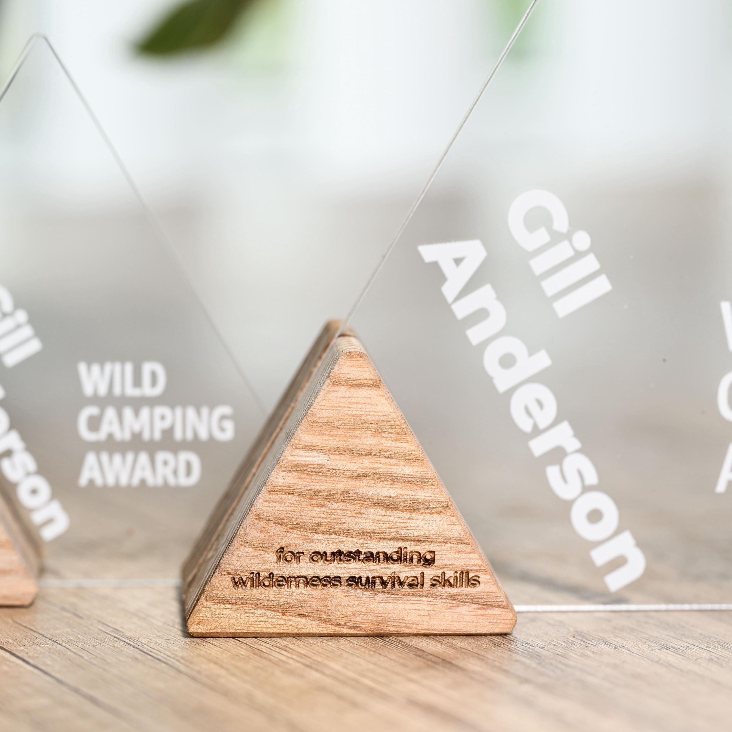 Acrylic Trophy v3