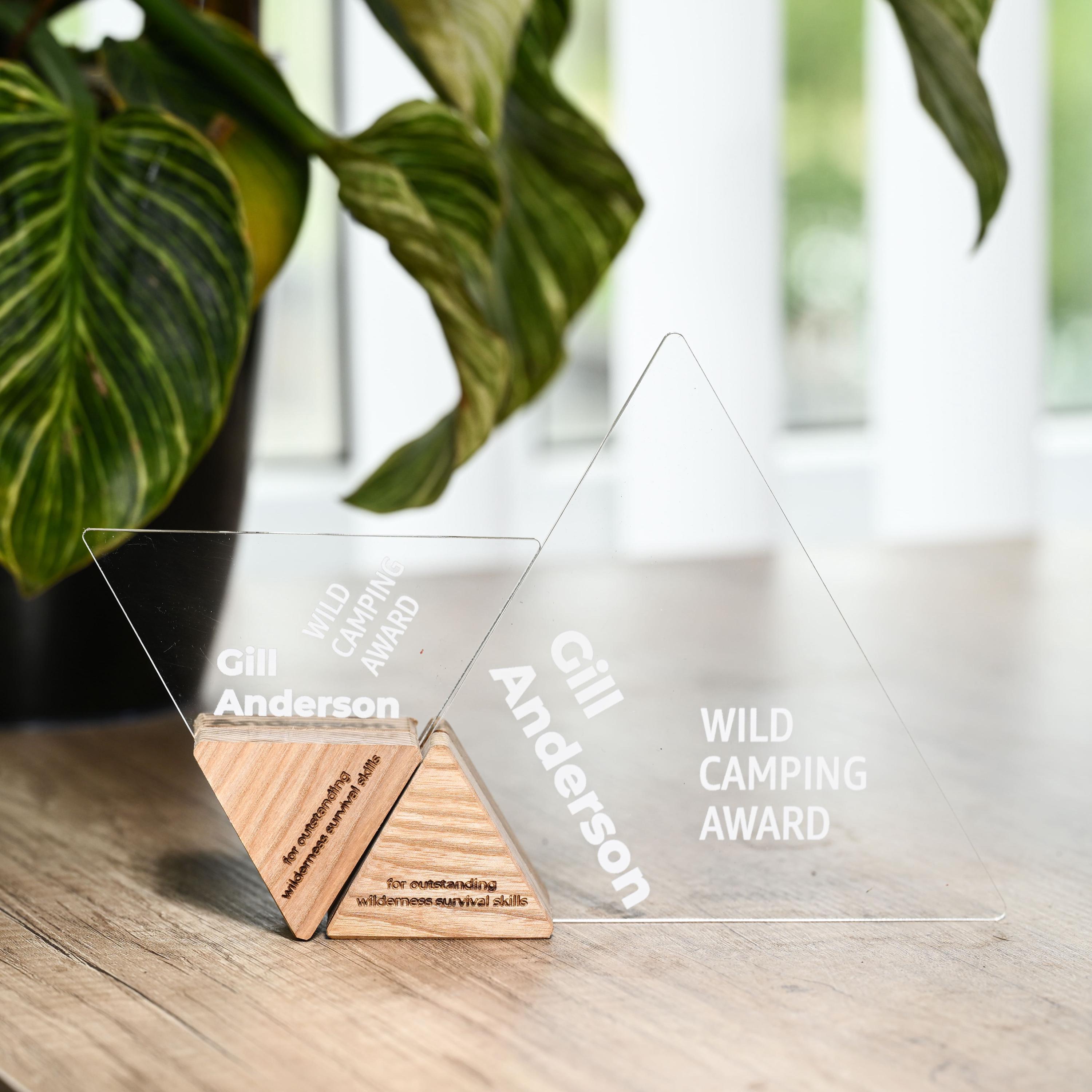 Acrylic Trophy v3