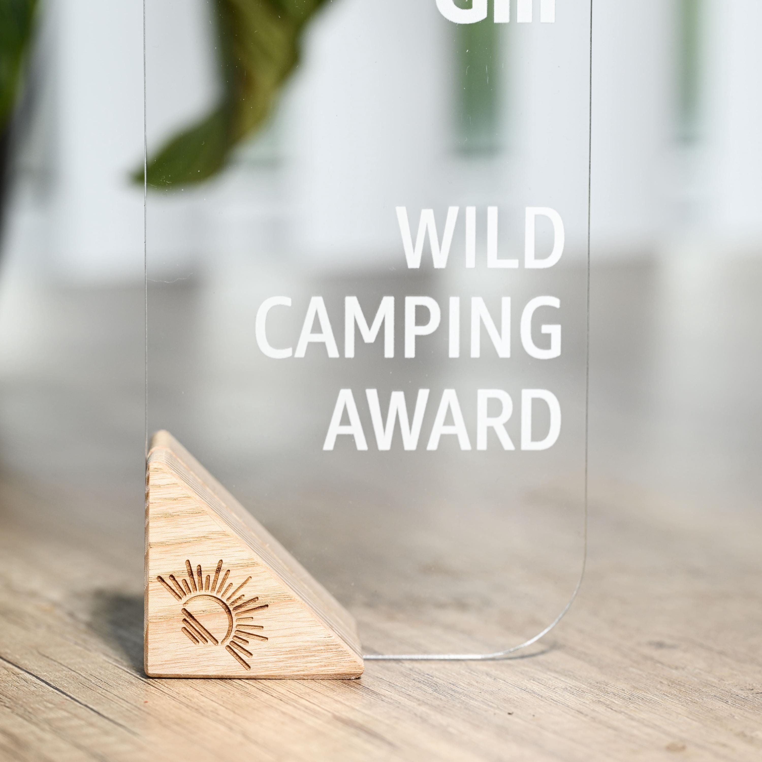 Acrylic Trophy v4