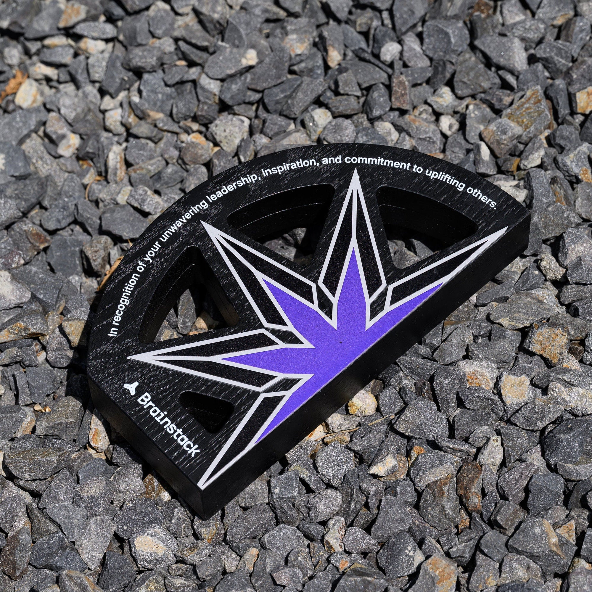 	Black oak and steel star award resting on grey gravel with the printed dedication text facing up
