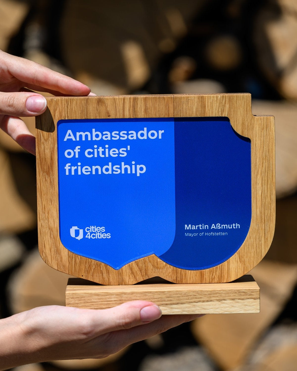 Sales Awards & Recognition Trophies