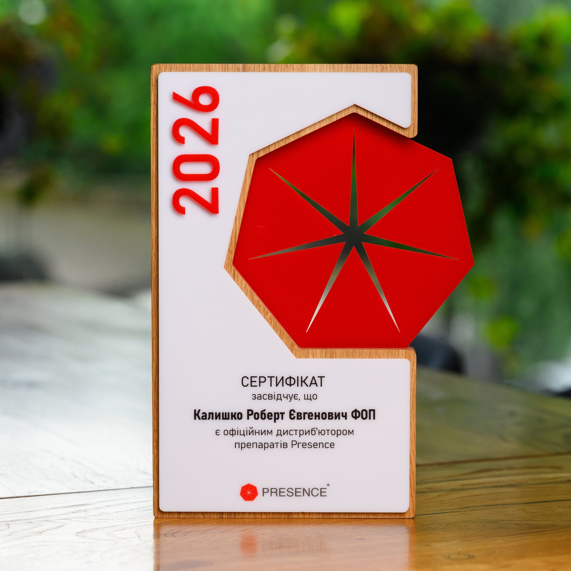 Angled view of the oak award plaque showing the raised acrylic face and the recessed emblem